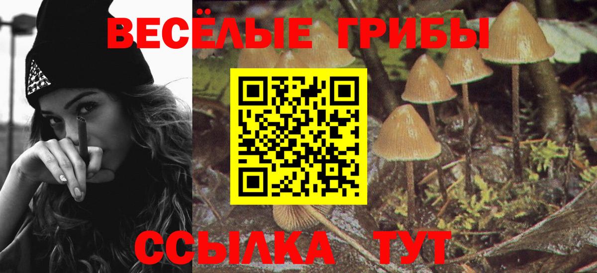 Галлюциногенные грибы MAGIC MUSHROOMS  Вход с VPN  где продают   Городец  Галлюциногенные грибы мухоморы 
